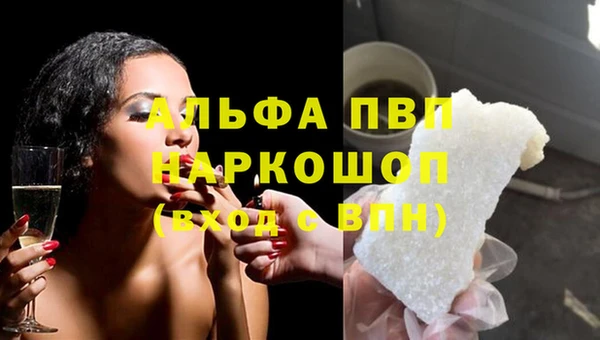 хмурый Аркадак