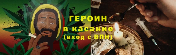 хмурый Аркадак