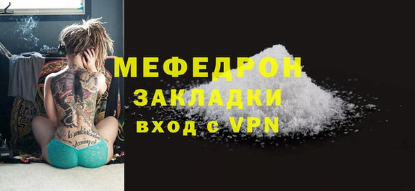хмурый Аркадак