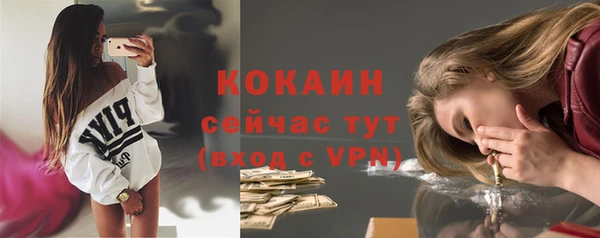 гашик Арсеньев