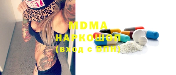хмурый Аркадак