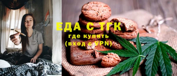 хмурый Аркадак