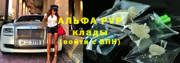 хмурый Аркадак
