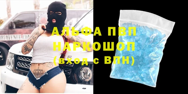 гашик Арсеньев