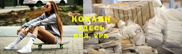 хмурый Аркадак